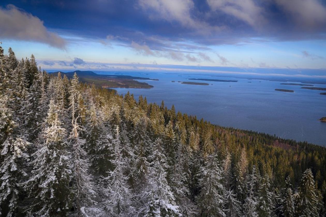 Kolin kansallispuisto