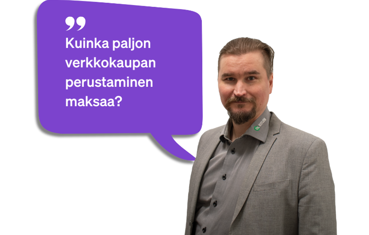 Kuinka paljon verkkokaupan perustaminen maksaa?